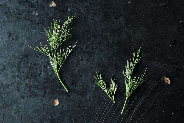 Dill and How to Use It from Stem to Seed
