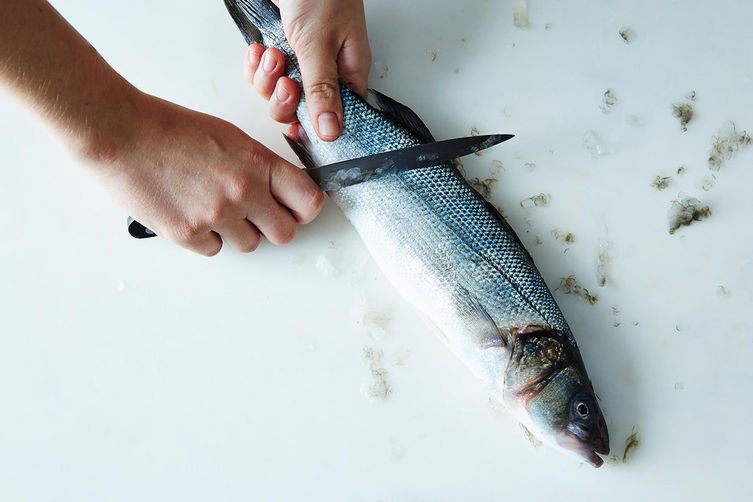 How to Scale and Gut a Fish