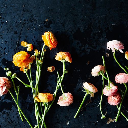 The Ratio's Bryce Longton on What Makes a Great Photo