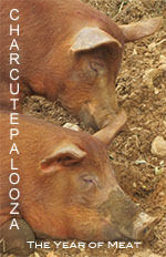 Charcutepalooza-let%e2%80%99s-make-meat