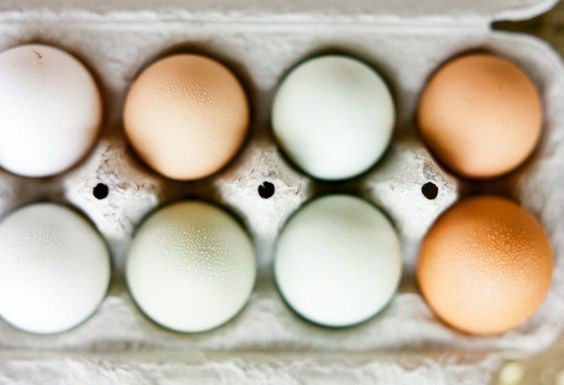 Ahp_kinfolk-eggs_ingredients_17380001-733x500