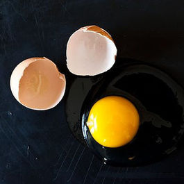  The Learning Channel